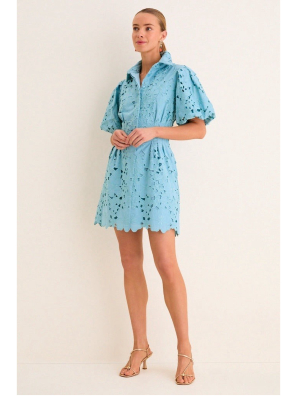 Tuckernuck Cameo Blue Collar Eyelet Mini Delaney Dress L Puff Sleeves Scallop - Picture 6 of 12